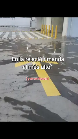 #fvpシ 