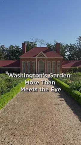 What histories can the upper garden teach us? 🍃 🌼 #GWMountVernon #HistoryTok #HistoricGardens #AmericanHistory #AfricanAmericanHistory #GeorgeWashington