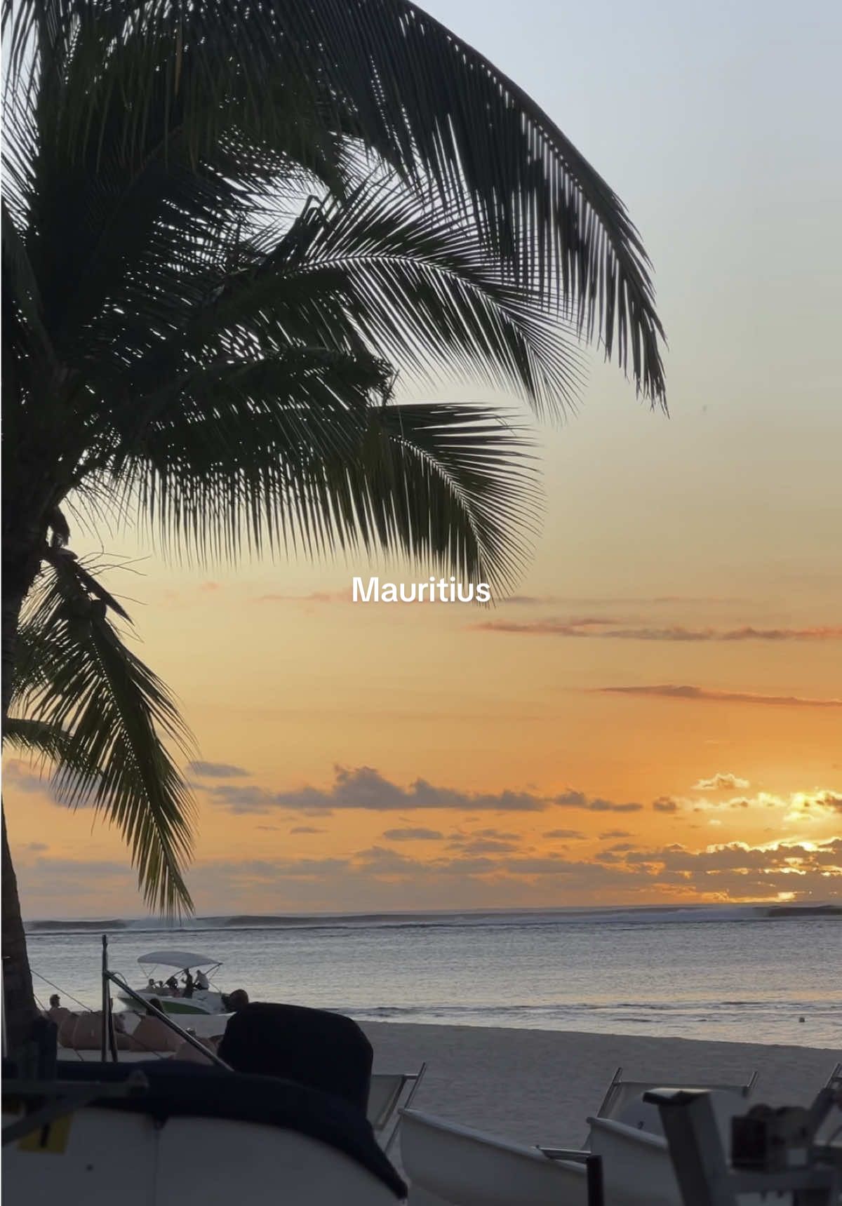 Mauritius ❤️ #mauritius🇲🇺#nature
