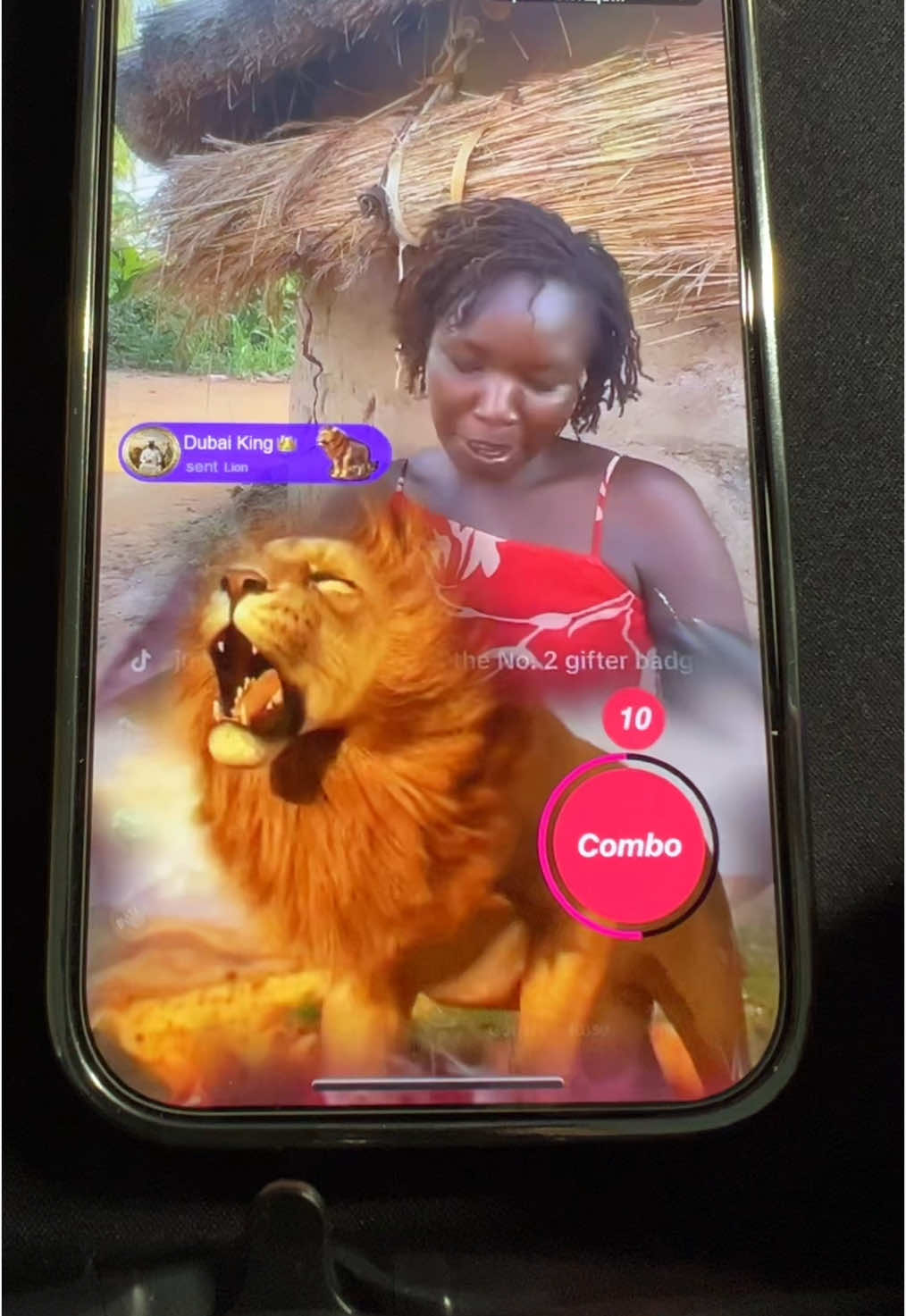 #lion #help #randompeople i send random people lions follow me 