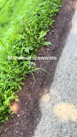 Trend#spawnrate #mohamed #switzerland #swiss #spot #view #mountain #fyyyyyyyyyyyyyyyy #fyy 