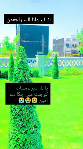 #CapCut #میرا یار نا راہا مغفرت کیلیے دعا کی اپیل#ریپوسٹ۔کرو۔❤️🖤✨ #farupage #سنگت_ویڈیو_وائرل_کریسو_آپ_ہیں #ریپوسٹ۔کرو۔❤️🖤✨ 