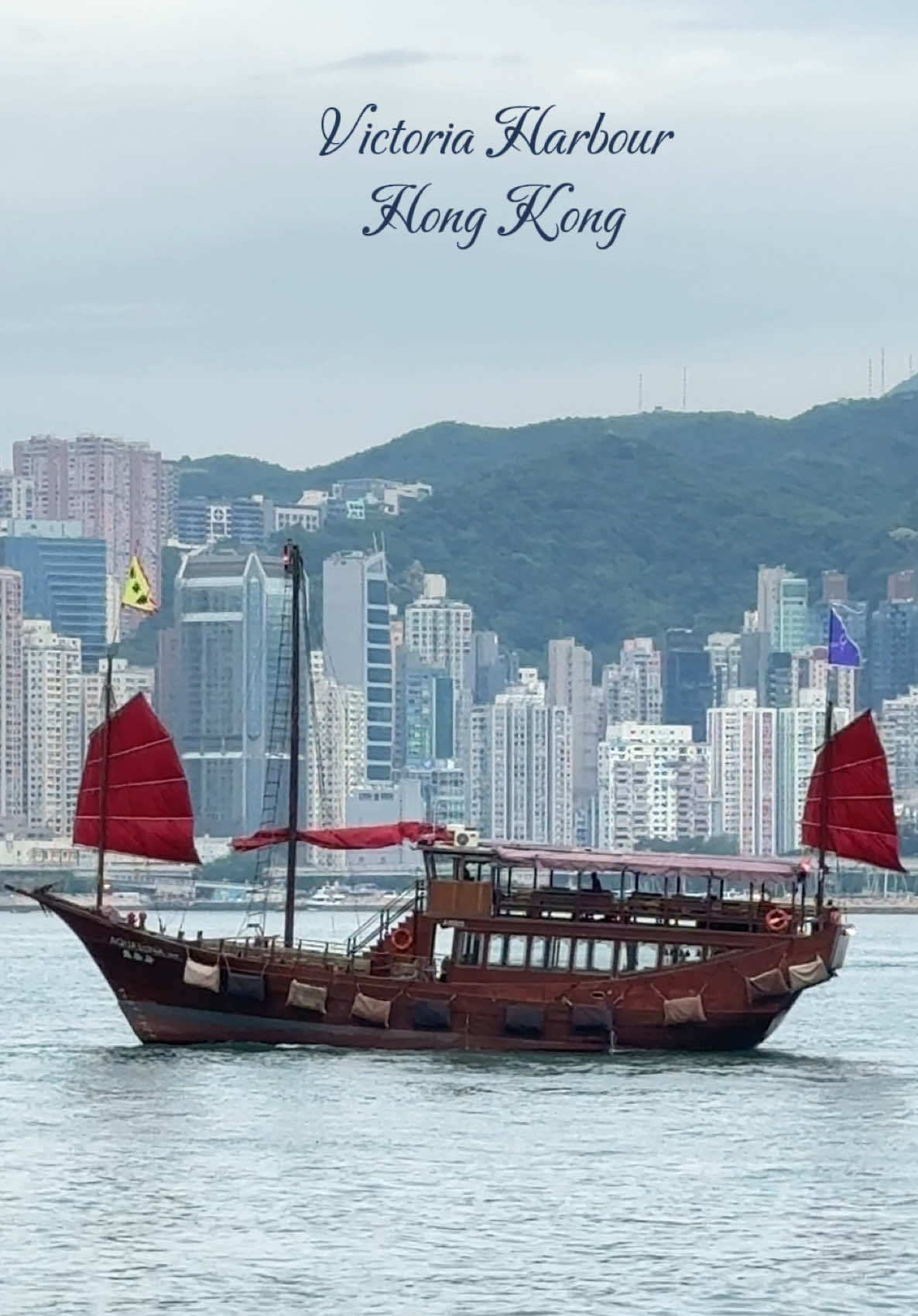 Victoria Harbour is located between Hong Kong Island and the Kowloon Peninsula in Hong Kong. It is one of the most iconic and scenic parts of the city, famous for its stunning skyline views and vibrant harbor activities. #VictoriaHarbour #HongKongViews #TsimShaTsui #HongKongSkyline #StarFerry #HKVibes #HarbourViews #CityscapeHK #HKTravel #DiscoverHongKong #HarbourFront #SunsetVibesHK #HongKongNights #ScenicSpotsHK #HKAdventures