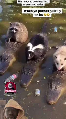 Got the roadkill trio. #Alligators #Skunk #Possum #Raccoon #greenscreen #greenscreenvideo 