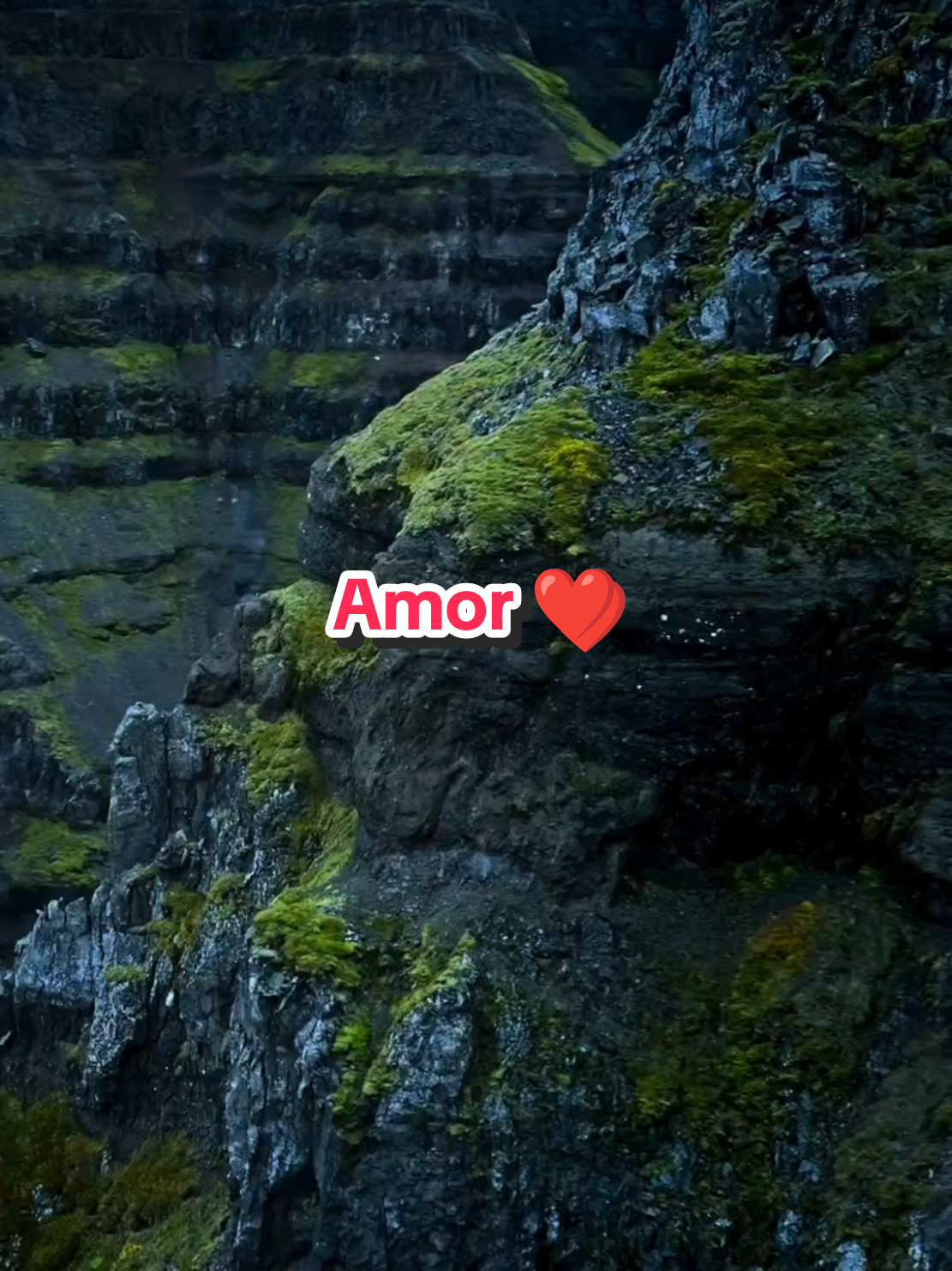 Eu sempre te Amarei ❤️#paixao #musicasromanticas #teamo #amor #amordaminhavida #poesia 