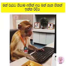 #tiktok #whatsappstatus #fyp #fyppppppppppppppppppppppp #viralvideo #funny #trending #viral #shorts 