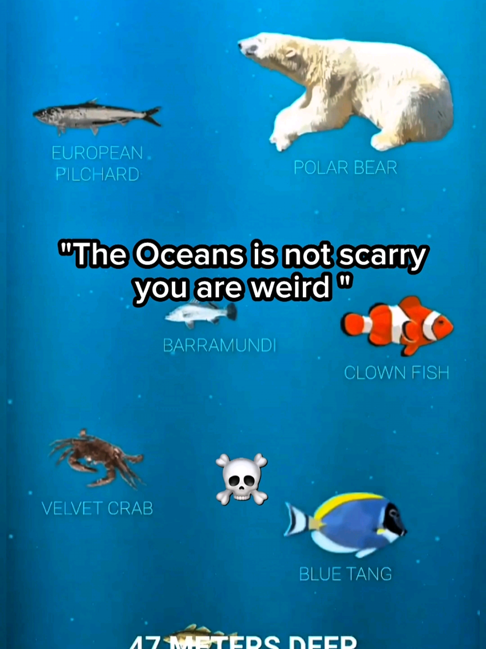 Deep sea creatures 😳 #deepsea #scary #ocean #deep 
