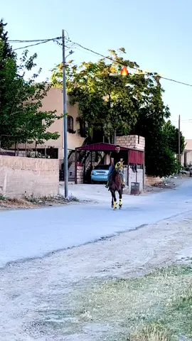 زين الغالي🔥🔥#خيل_وخياله🐎 #fyp #الاردن 