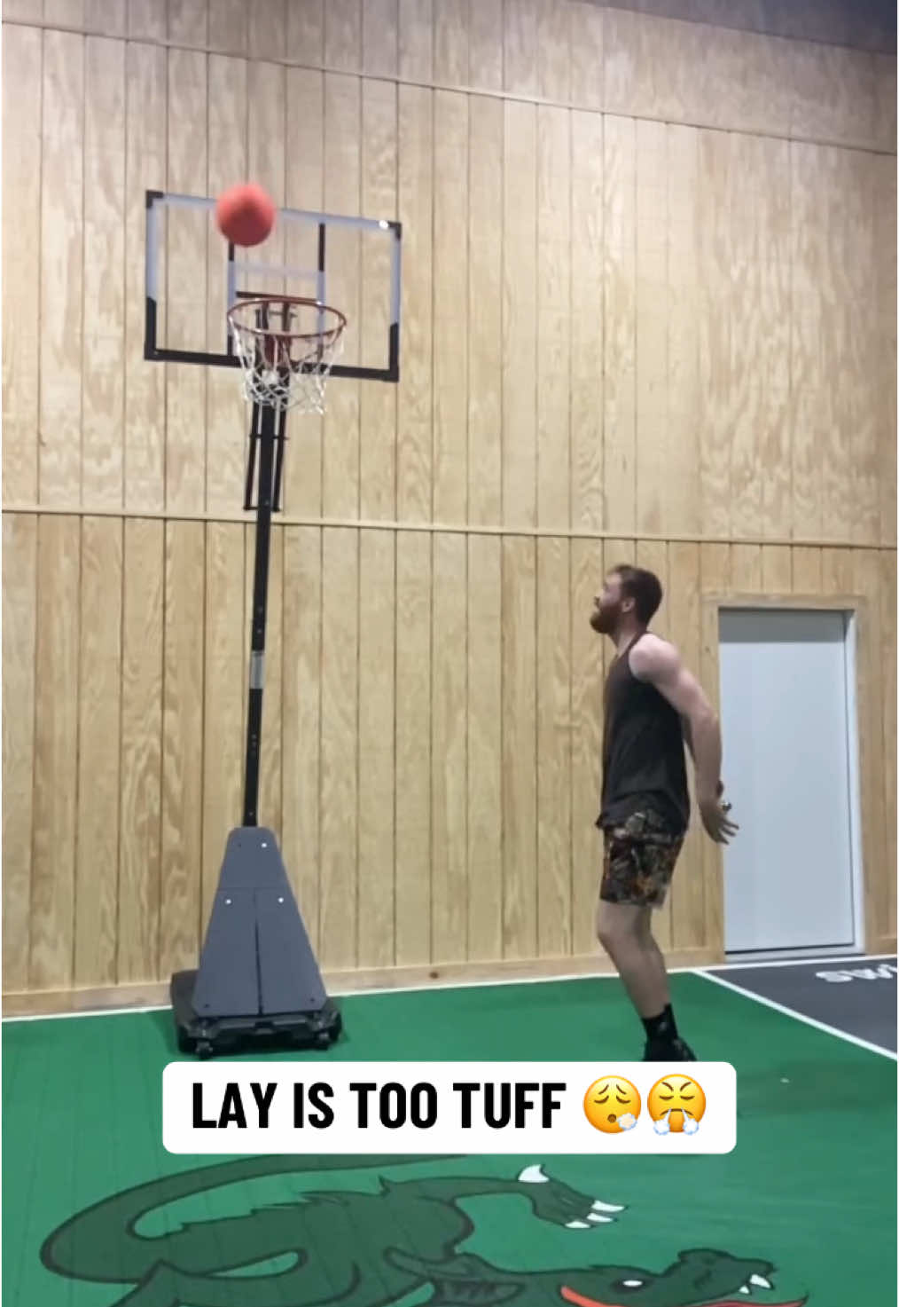 That’s a whole lotta spin 🌪️ (@Mr Bearded Dragon) #spin #layup #tuff 