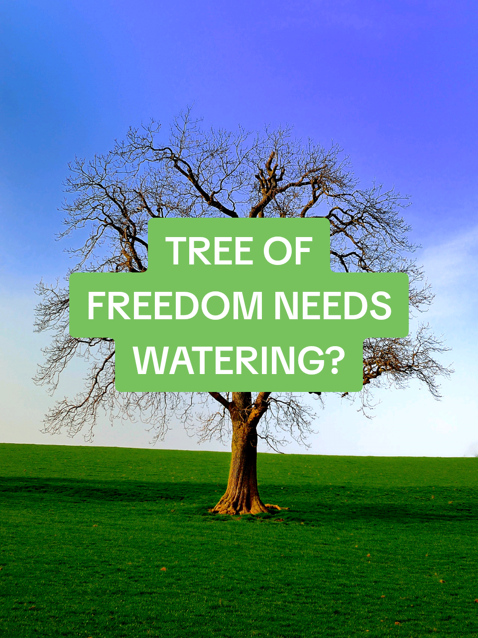 The tree of freedom needs water? #ireland #uktiktok #uktiktok🇬🇧uk #romania #fyp 