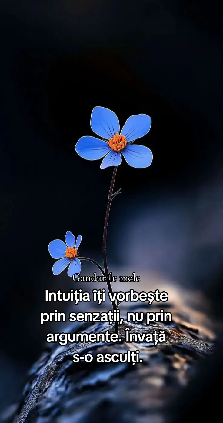 #gandurilemele 