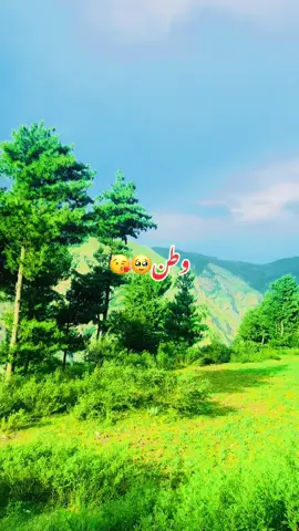 کرم #kurram_agency #foryoupage #viralvideo @SK ChamKani 786 🦅 @kurrmiwal 😎 @👑♡BOSS♡ 👑 @ibrahimtanha 55 @Idrees Chamkani @Hakim chamkani @azakeen 575 @▄︻デS̷A̷M̷I̷══━一 @Saleem paracha @👑♡BOSS♡ 👑 ihsan ullah 💔💔👑 @Shams Chamkani @𝐒𝐡𝐨𝐚𝐢𝐛 𝐀𝐡𝐦𝐚𝐝 