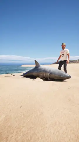 watch until the end 😱#zackdfilms 