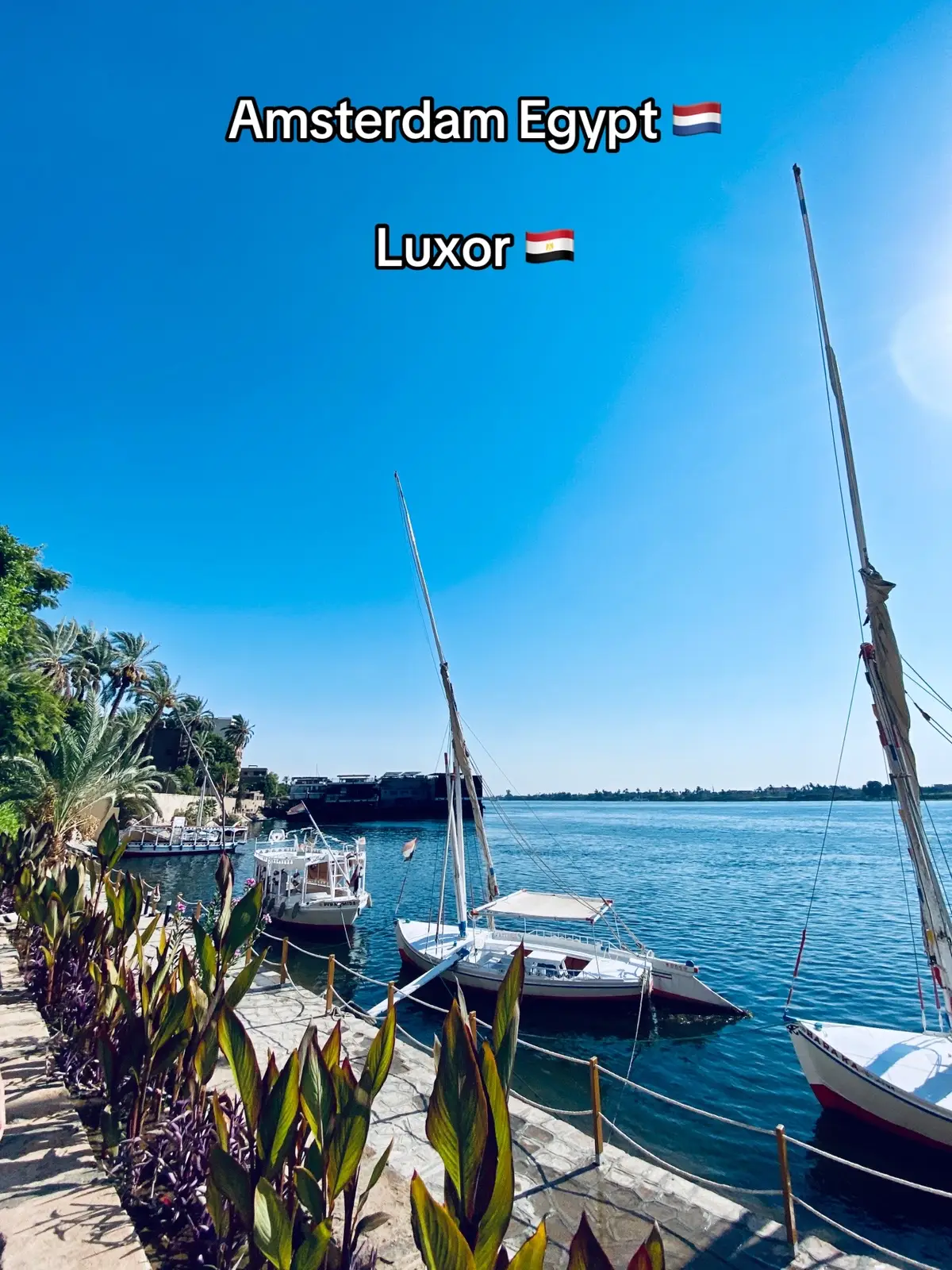 #f #luxor #egypt #fyyyyyyyyyyyyyyyy #الاقصر #الاقصر_اسوان_سوهاج_قنا #amesterdam #cairo 