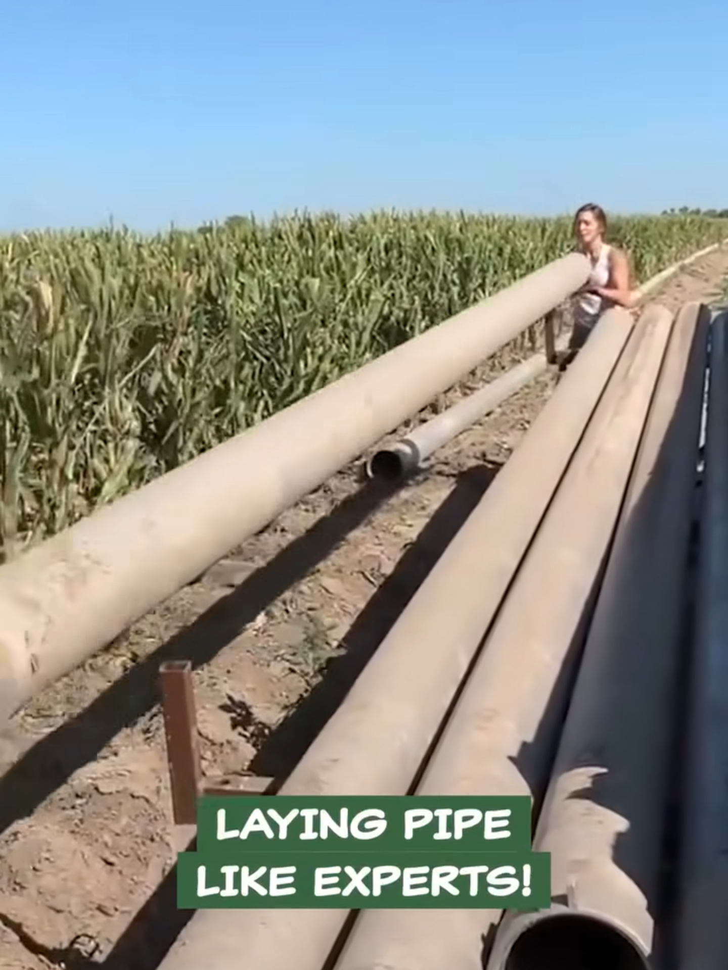 Hands-on Farming Tales of Tackling Pipes 🛠️#farminglife #farmlife #farmtok