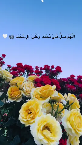 #الهم_صلي_على_محمد_وأل_محمد #شەوی_هەینیە_صلاوات_بۆ_پێغەمبەر_بنێرن_🤲 #جمعة_مباركة #الله_اكبر #الحمدالله_علی_کل_حال❤ #foryou #tiktok #fyp #foryoupage #hawler_slemani_dhok_karkuk_hallabja #kurdistan🇹🇯️ #soran 