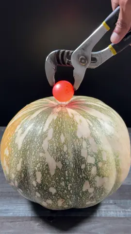 1000°C Red Hot Metal Ball VS Pumpkin 🎃 #rhcb #experiment #asmr #asmrsounds #oddlysatisfying #uktiktok #scienceexperiments #usa_tiktok🇺🇸 #fyp 