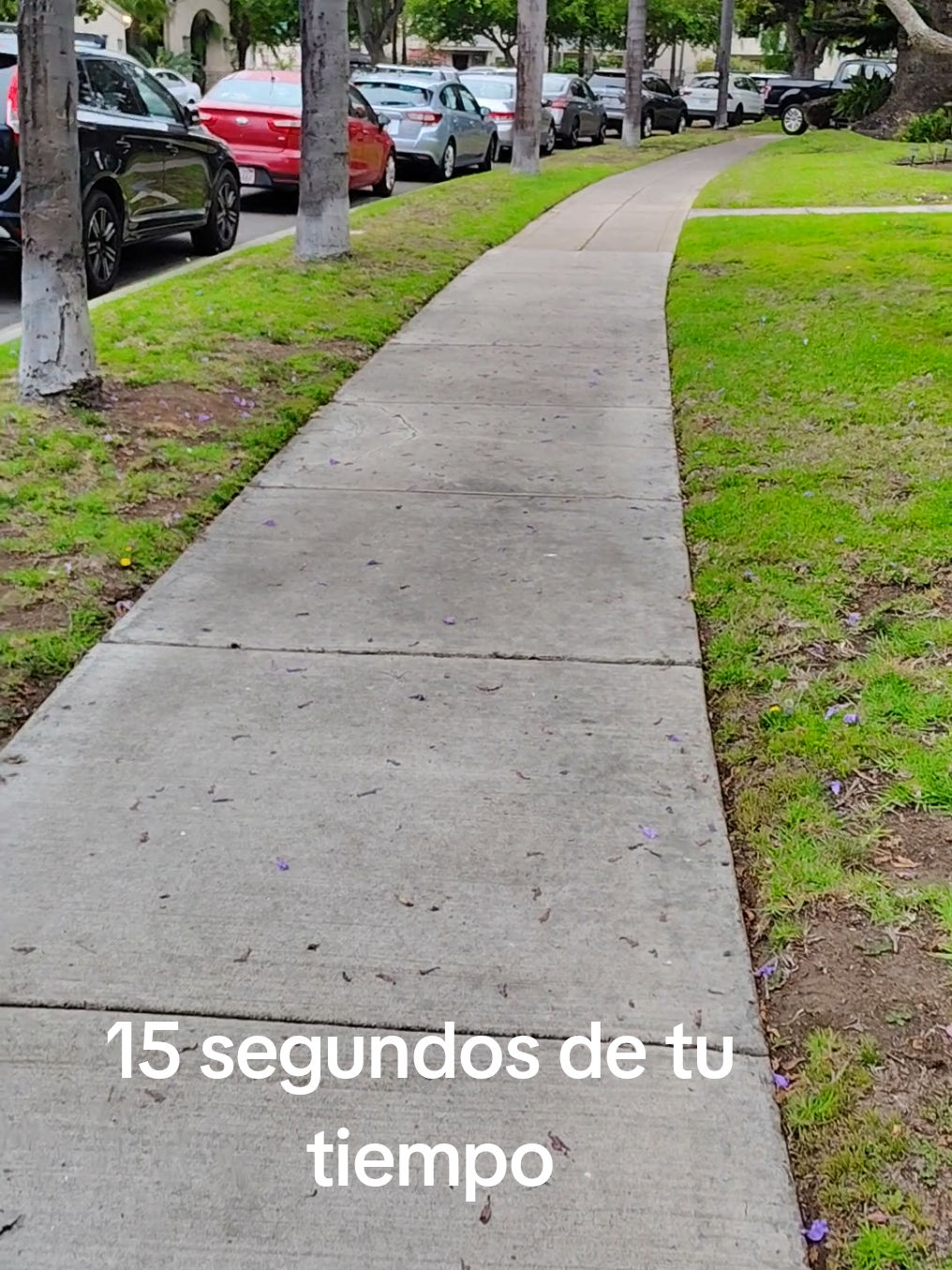 15 segundos de tu tiempo #tiktok #meme 