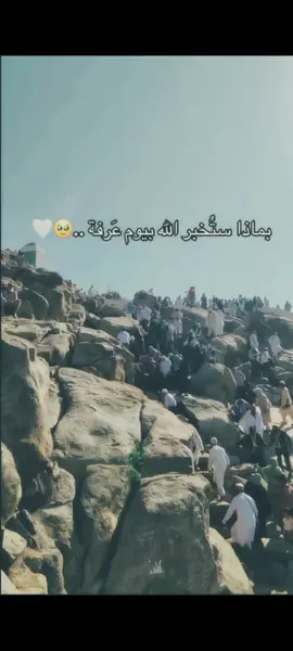 إلى عرفاتٍ سنمضي غداً🥹🤍##عرفة_يوم_عظيم_كبروا_استغفروا_تصدقوا 🥹🤍