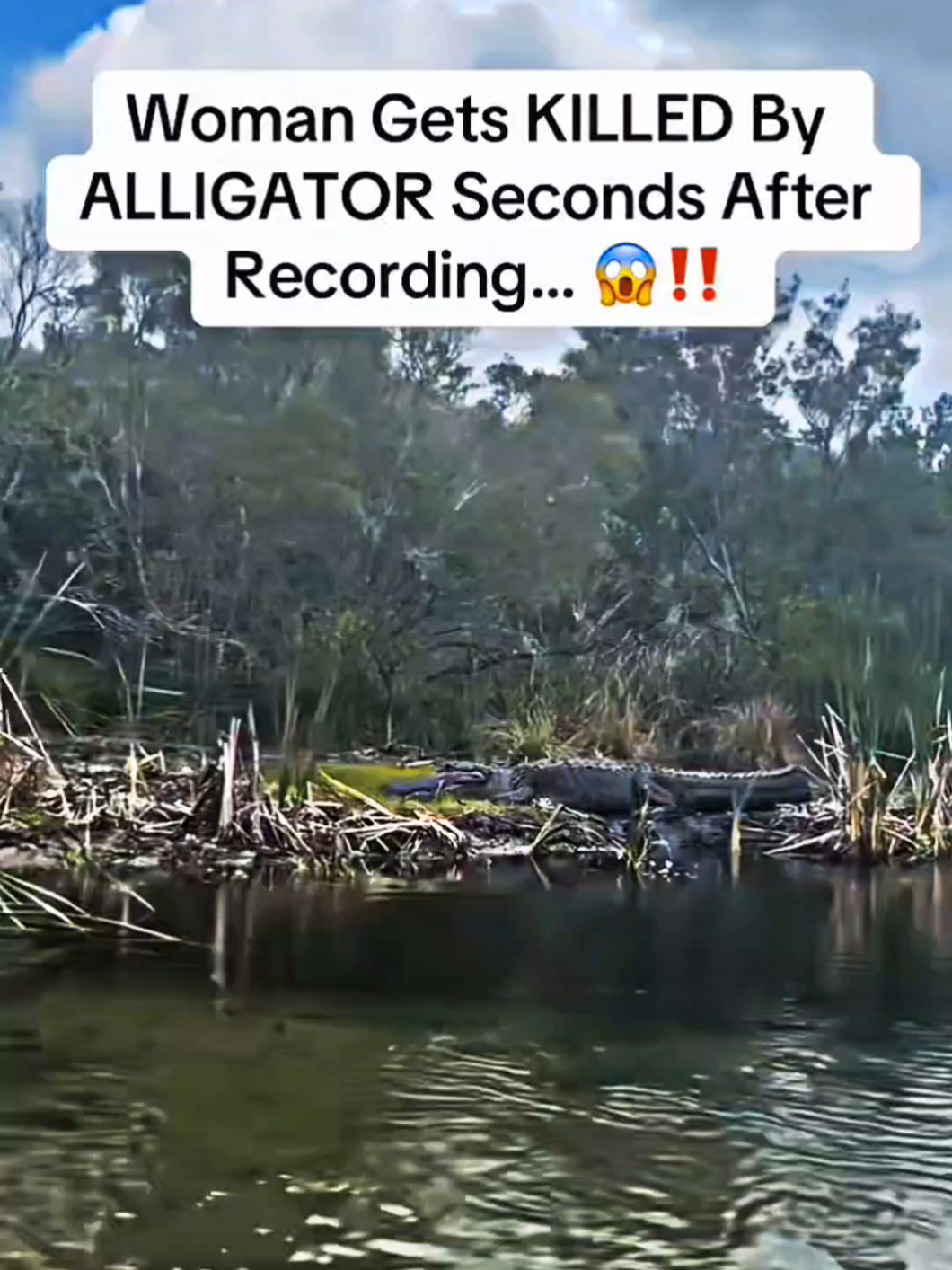 Woman Gets Killed By Alligator. #breakingnews #news #trendingnews #viral #trendingtiktok 