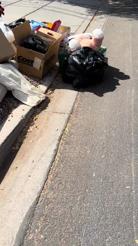 Ositos de peluche 