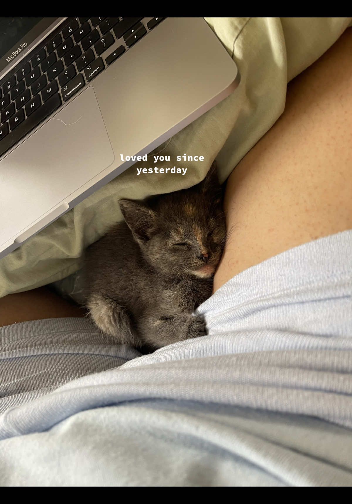 I found her in my trash bin this morning, and I’m planning to keep her so please give any advice u have🥺 name suggestions are welcomed  I don’t have $$ to take her to the vet but I’ve contacted a shelter to see if they have any resources available.  #kitty #babycat #straycat 