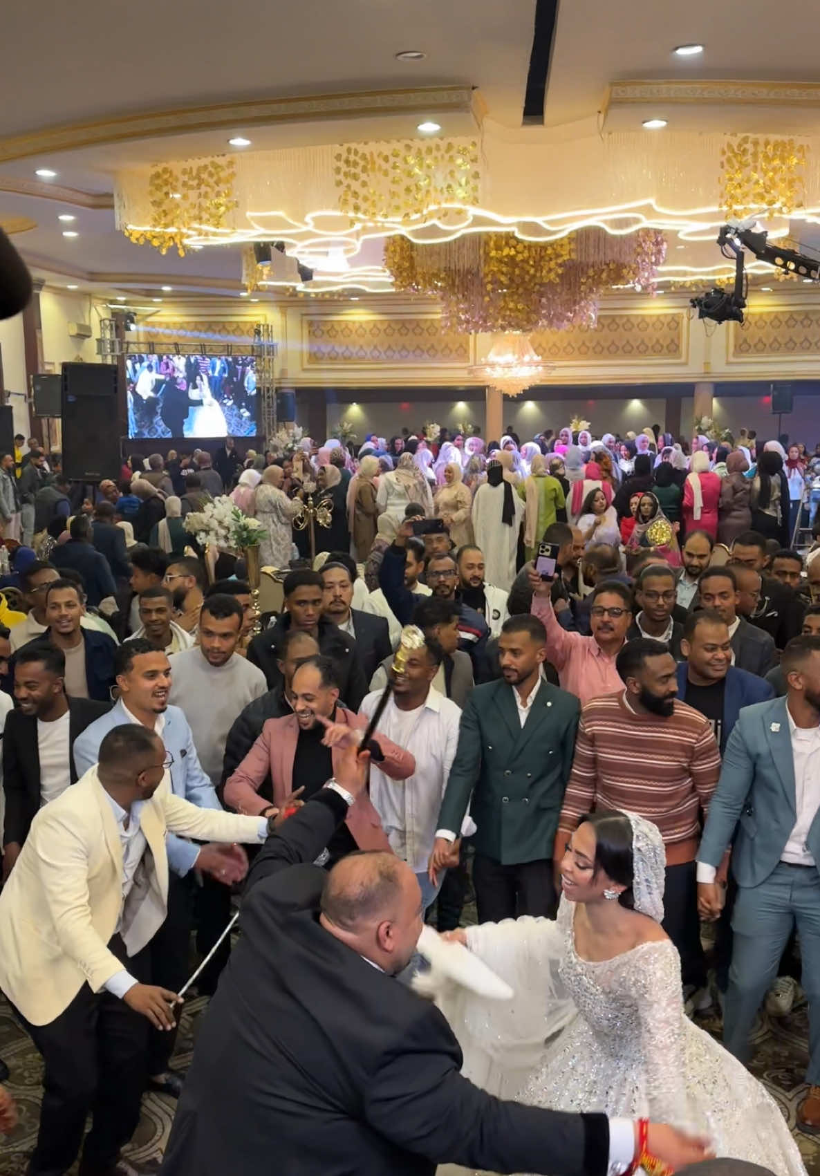 افراح النوبة ♥️