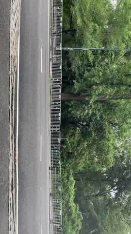 Central Park #centralparknyc 