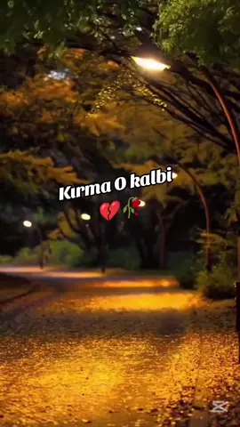 #keşfet 