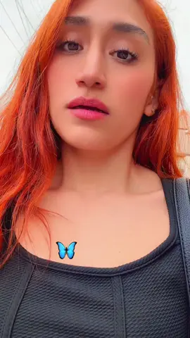 #mariposa 