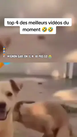 ##cotedivoire🇨🇮 #ivoirien🇨🇮 #viralvideo 