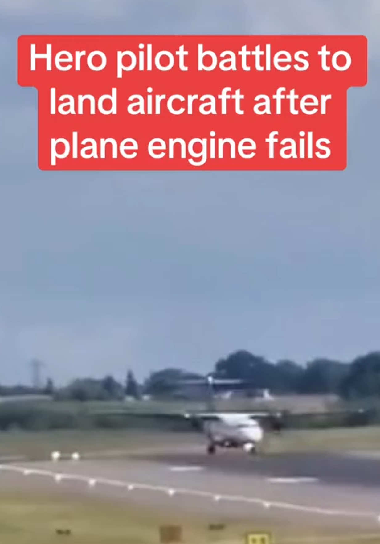 ⬆️ READ THE FULL STORY HERE ⬆️
