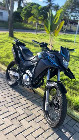 🥴🔥 #xre #xre300 #viral #fy #reels #videoviral #midia #xre300rally #xre300oficial #videos 