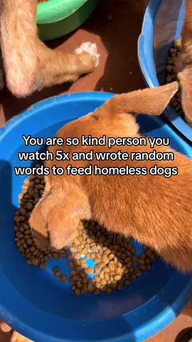 #animalsoftiktok #animallover 