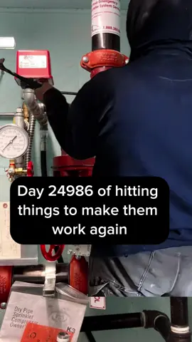 Just tap it in… a little tap tap taparoo… #sprinklerservice #bluecollar #sprinklerinstall #sprinklertok #sprinkler #sprinklerfitter 