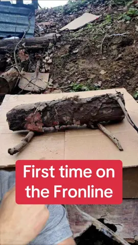 5/29 Ukrainians are disguising mines as logs and dropping them from drones  ##drones##drone##ukraine##battlefield