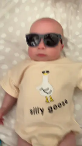Your daily dose of silly goose energy just dropped 🪿✨ #babyfever #cutebaby #sillybaby #funnybaby #babytok #babytiktok #momtok 