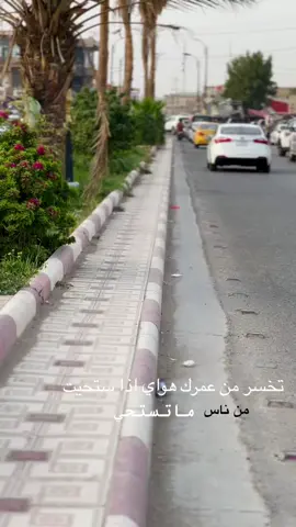 تخسر من عمرك هواي اذا استحيت من ناس ماتستحي 😅🍃#السماوة_مدينتي🇮🇶❤️ #الرميثه #صعدوو_ءڪڪسبلور_للايڪ_متابعه #تفاعلكم 