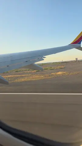 flyinghigh