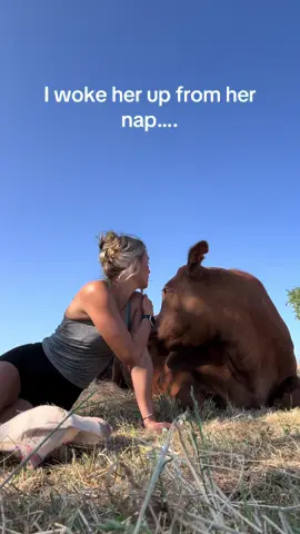 She is a bit dramatic..#grumpy #cowsoftiktok #grasspuppy 