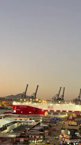 🚢🌟 Itajaí faz história! O maior navio de transporte de veículos do mundo, o BYD Shenzhen, atracou no nosso porto trazendo mais de 7 mil carros elétricos e híbridos da gigante chinesa BYD. 🚗⚡ É a maior operação de veículos já realizada no Brasil! A megaoperação envolve mais de 500 profissionais, com 130 caminhões-cegonha trabalhando 24 horas por dia para desembarcar os veículos em até cinco dias. 🏗️📈 E tem mais: O presidente Lula visitou o porto e anunciou R$ 844 milhões em investimentos para melhorias na infraestrutura portuária, reforçando Itajaí como um polo logístico estratégico. 📣 Oportunidade à vista! Com a chegada da BYD e os novos investimentos, a economia local promete crescer, gerando empregos e valorizando imóveis na região. 📲 Quer saber onde investir? Me chama no direct! #BYD #Itajaí #PortoDeItajaí #InvestimentoInteligente #ImóveisValorizando #cleidibenetti #CorretoraItajaí