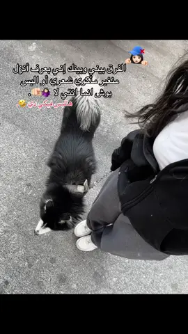 جايه معاكي بنكش؟ اصرفي بقى🤣.
