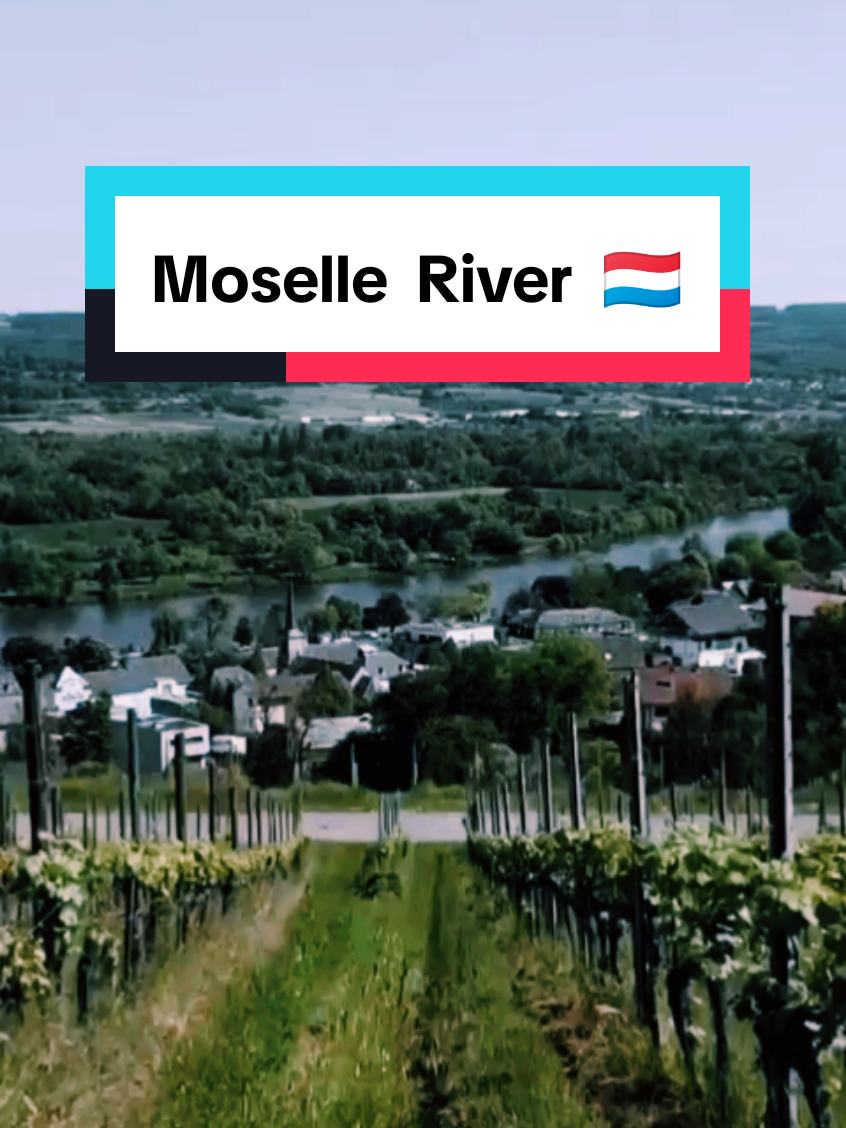 Fly over Moselle Luxembourg 🇱🇺  #luxembourg #roshdi©® #Roshdi 