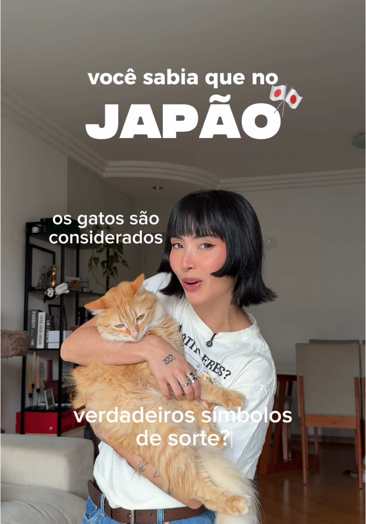 melhor ser gato no japão ou no brasil? 🎌🇧🇷🗣️ só sei que se tiver #Dreamies meus gatos vão estar felizes e quem ama sabe que não tem nada melhor do que mimar nossos filhos felinos e tratar eles como a celebridade que eles são ⭐️🐈✨ hahaha  Dreamies, o petisco que faz qualquer gato levantar a patinha!   #horadopetisco #bastaagitar #gatos #felinosbr #gatoévida #catlover #japan #brasiljapao *publicidade