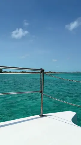 🌊