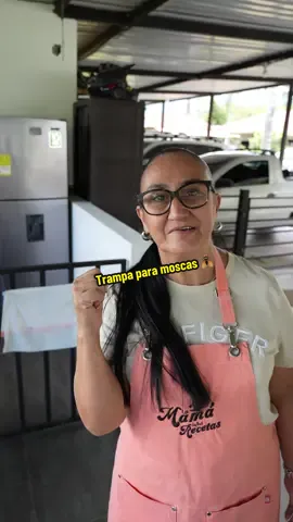 Así puedes hacer una Trampa para moscas 🪰