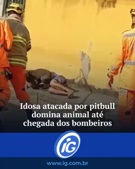Uma idosa de 77 anos foi atacada por um pitbull na manhã desta quinta-feira (29), no Bairro Bandeirantes, em Leopoldina (MG). De acordo com informações do Corpo de Bombeiros, ela caminhava pela rua quando foi surpreendida pelo animal, que mordeu seu cotovelo e tentou atacá-la no pescoço. Mas a idosa conseguiu se defender, segurando o cão pelas patas. Ela ficou segurando o pitbull, caída no chão, até a chegada da equipe do Corpo de Bombeiros, que foi chamada por populares que testemunharam o ataque. 🔗 Veja as notícias do Portal iG e acesse o Canal do Whatsapp no Link da Bio 📲 📹 Reprodução/O Vigilante Oline #PortaliG #Pitbull #Idosa #Leopoldina #MinasGerais