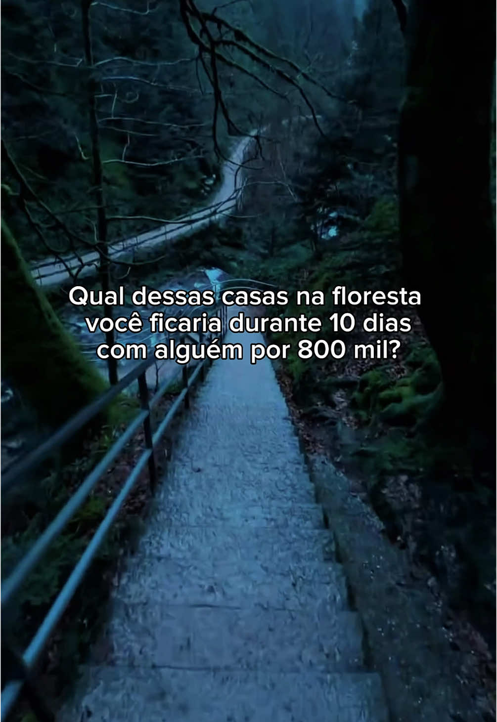 Qual??? #aesthetic #casa #floresta #goodvibes 