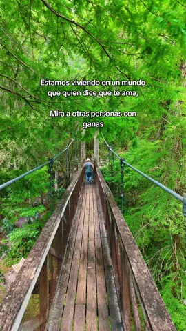#laverdad#pura #sierto #comparte #parati 