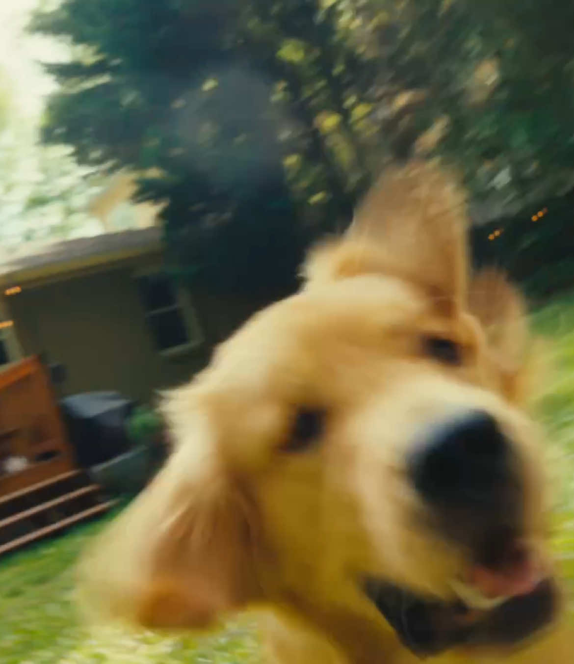 Hank @mattgrady #fx3 #sonyfx3 #cinematography #colorgrading #davinciresolve #Summer  